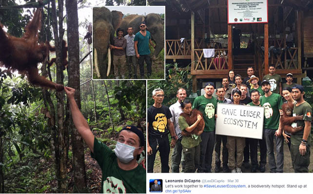 Indonesia Sewot setelah Leonardo DiCaprio Kecam Industri CPO Rusak Lingkungan